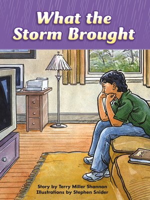 cover image of What the Storm Brought